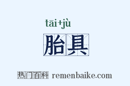 胎具是什么意思的图片